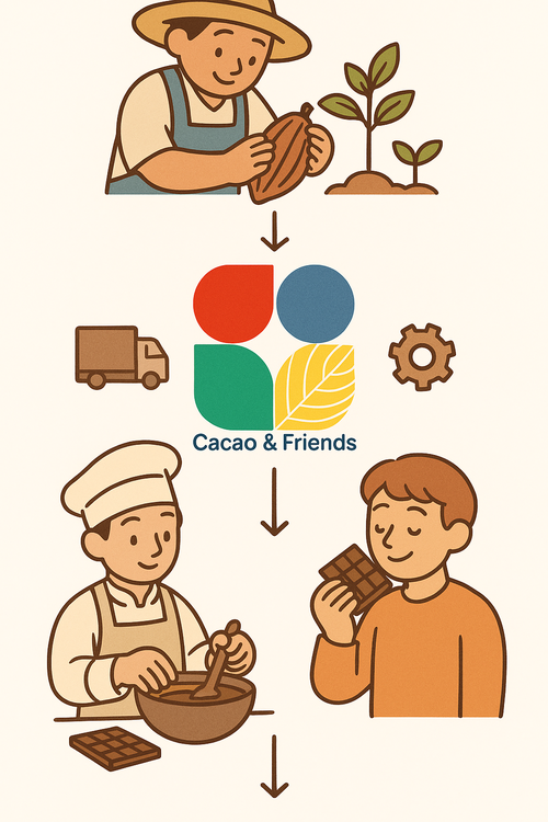 Cacao And Friends un progetto sul cacao a filiera corta