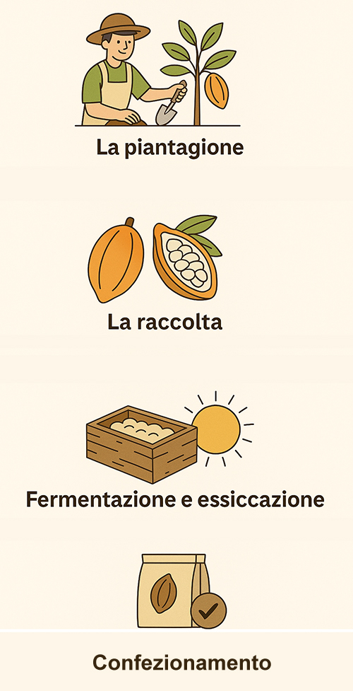 Cacao & Friends. la formazuione con il metodo SBMm di Silvio Bessone